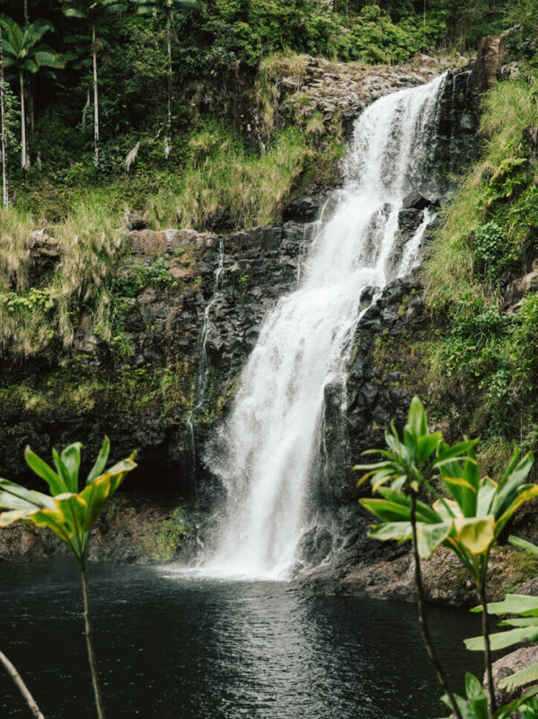 Kulaniapia Falls Waterfall in Hilo, Hawaii