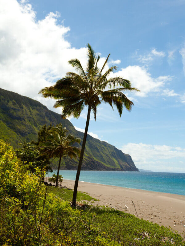 Molokai Sea Cliffs view from the beach