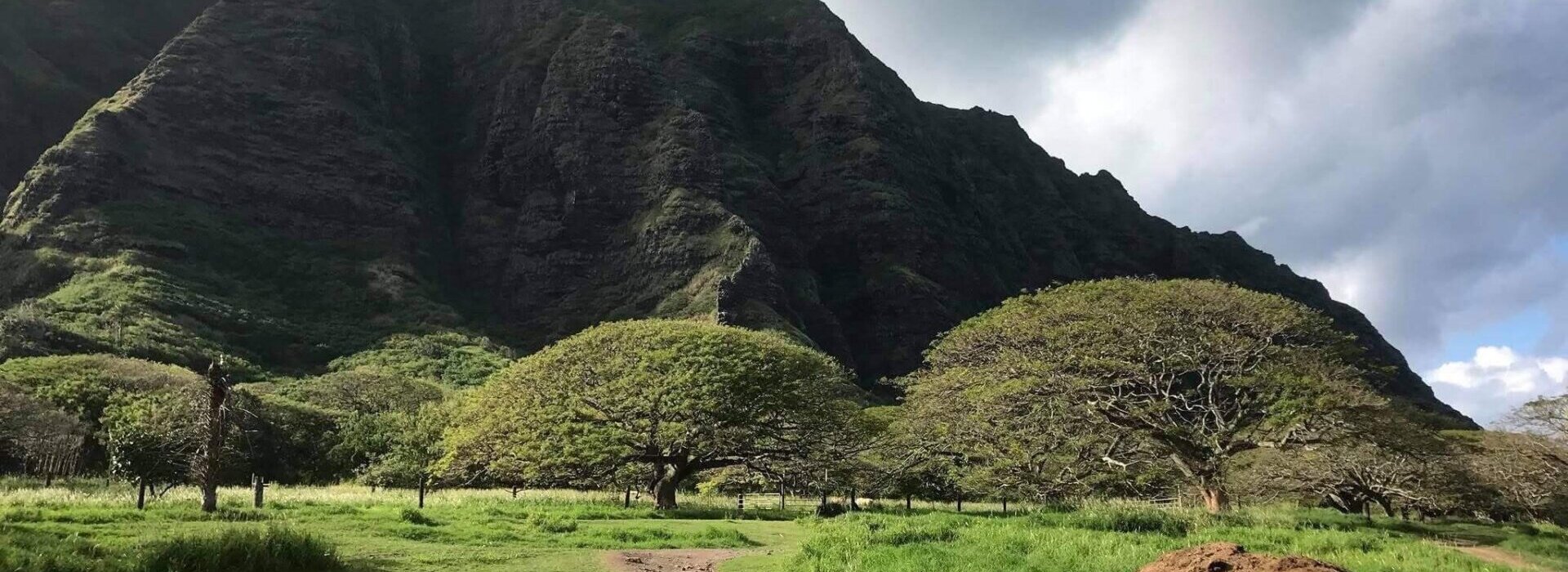 Oahu Hawaii mountains with beautiful trees